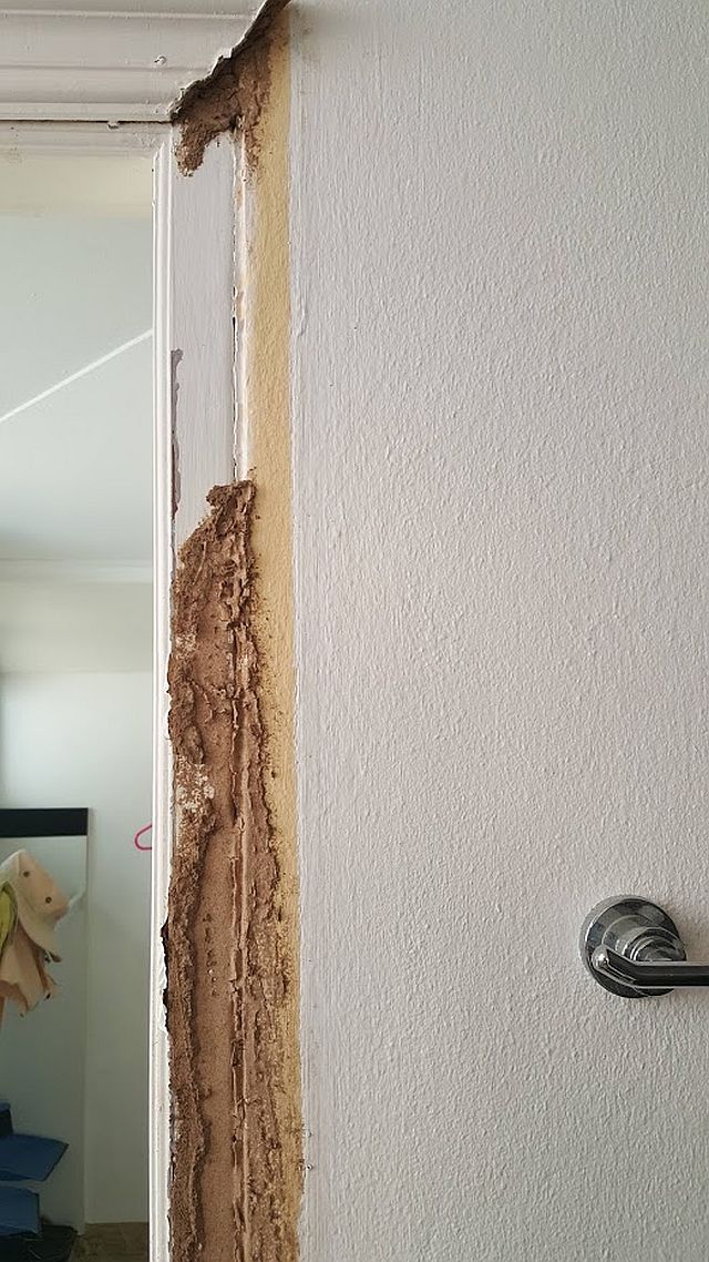 Termitter - denne gang INDE i huset!! - Dansker i Thailand